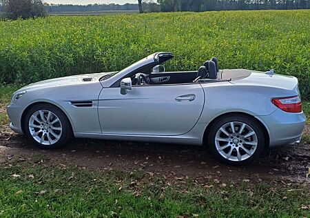 Mercedes-Benz SLK 250 (BlueEFFICIENCY) 7G-TRONIC