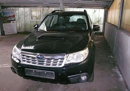 Subaru Forester 2.0D Exclusive