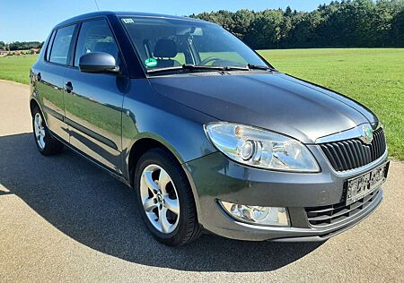 Skoda Fabia 1.2 TSI Style Edition Klima SHZ Tempo PDC