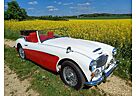 Austin-Healey Others 100-six