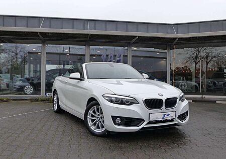 BMW 218 i Cabrio Aut. Leder Navi PDC Windschott