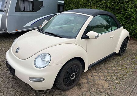 VW Beetle Volkswagen