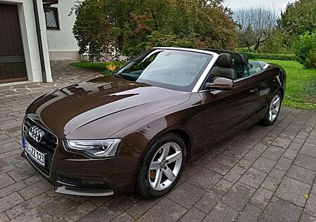Audi A5 Cabrio Diesel Cabrio 3.0 TDI DPF quattro