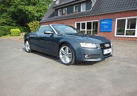 Audi A5 Cabriolet 3.0 TDI quattro AHK/LEDER/NAVI+/19"
