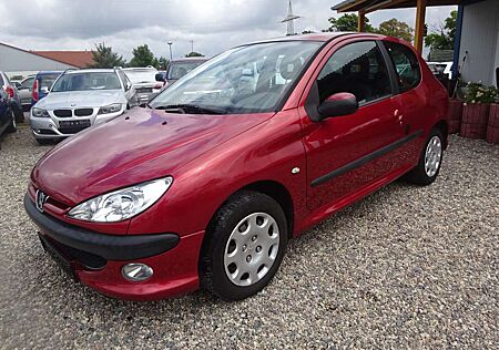 Peugeot 206 Grand Filou Cool