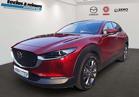 Mazda CX-30 SKYACTIV-X 186 AT Selection Design-P./Leder/18 Zol