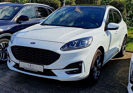 Ford Kuga ST-Line X Sport AHK SH ALU Panorama Frozen