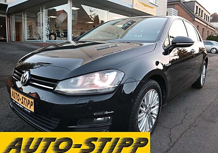 VW Golf Volkswagen 1.2 TSI Cup NAV TEMP XENON SITZH BLUET PDC