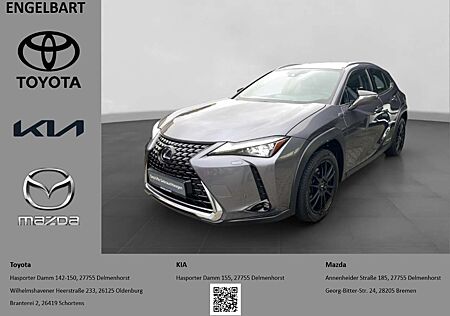 Lexus UX 250h Luxury Line Schiebedach Navigation 360° Kamera