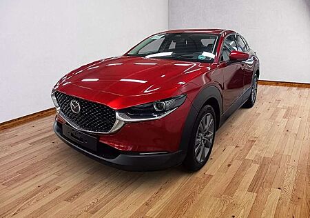 Mazda CX-30 2.5 Exclusive AUTOMATIK 360°, Matrix, Bose