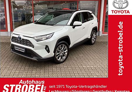Toyota RAV 4 2.5 4x2 Hybrid Lounge