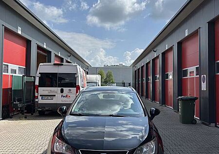 Seat Ibiza Style
