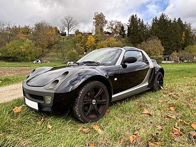 smart roadster Smart Roadster 82 PS Leder SHZ Tempomat mit Hagelschäden