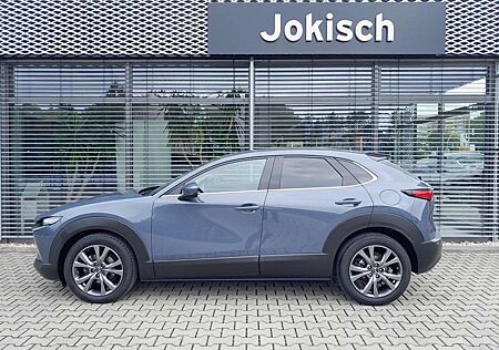 Mazda CX-30 SKY-X 186PS M-HYBRID 6AT DESIGN & PREMIUM Matrix-L