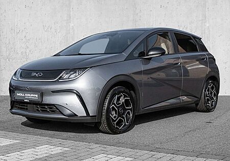 BYD Dolphin Design Panoramadach*Navigation