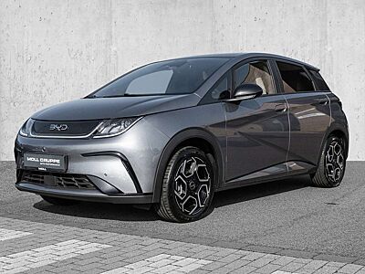 BYD Dolphin Design Panoramadach*Navigation