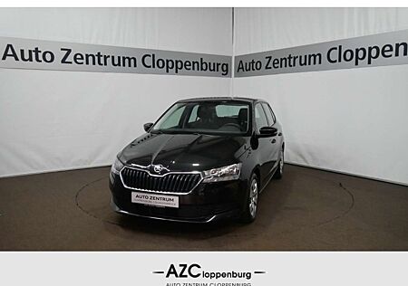 Skoda Fabia Ambition 1.0 TSI EU6d Navi+ACC+PDC