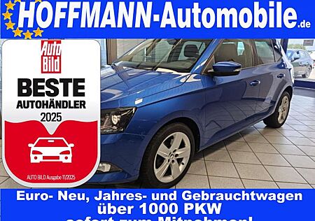 Skoda Fabia gebraucht kaufen Skoda Fabia Drive DSG,Climatronic,PDC,Sitzheizung,BT
