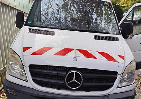 Mercedes-Benz Sprinter 513 CDI 4x4 906.155