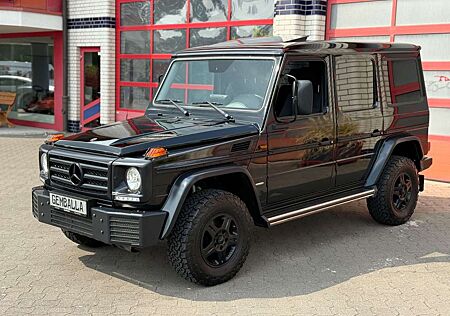 Mercedes-Benz G 350 D PROFESSIONAL,STAHL-STOSSSTANGE,SCHIEBE