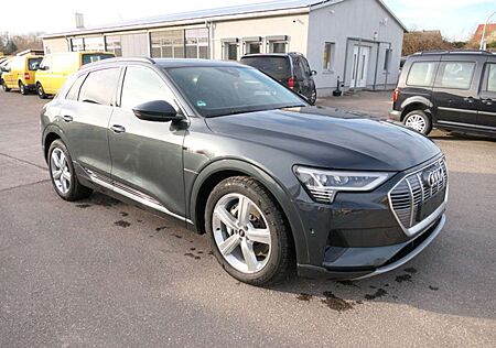 Audi e-tron 50 QUATTRO ADVANCED Assistenz-Paket Stadt / Tour C