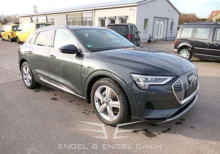 Audi e-tron 50 QUATTRO ADVANCED Assistenz-Paket Stadt / Tour C