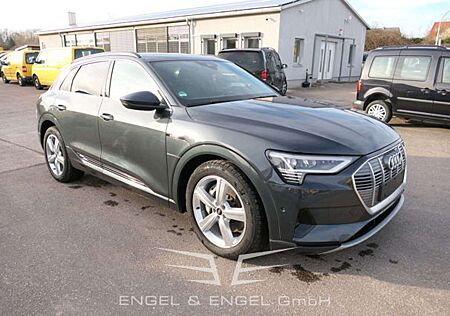 Audi e-tron 50 QUATTRO ADVANCED Assistenz-Paket Stadt / Tour C