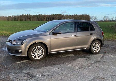 VW Golf Volkswagen 1.6 TDI BMT Cup AHK STHZ PLA Tempomat Navi Alu