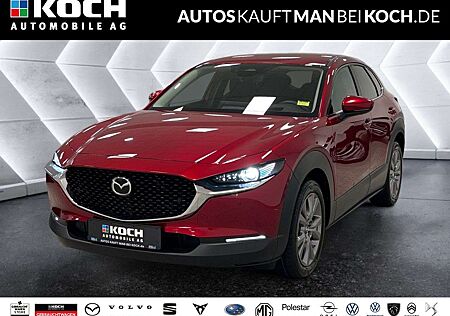 Mazda CX-30 2.5 140 6AT FWD Exclusive-line ACC 360 BOS