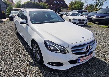 Mercedes-Benz E 350 BlueTec 4Matic LED Schieb