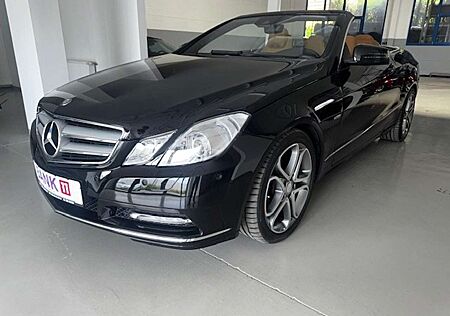 Mercedes-Benz E 220 CDI BlueEfficiency (207.402)