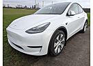 Tesla Model Y Long Range LR Dual Motor AWD 1. Hand Panorama Dach