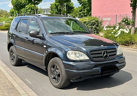Mercedes-Benz ML 320 V6 Automatik Leder / Klima / ESHD/ AHK