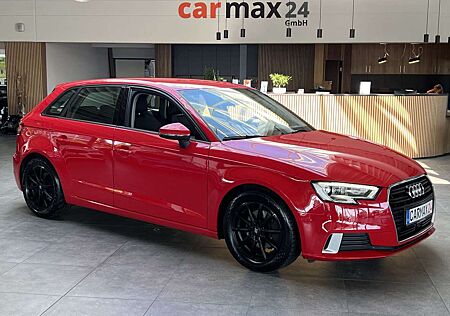 Audi A3 1.6 TDI sport AHK Xenon SHZ