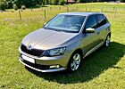 Skoda Fabia Cool Plus