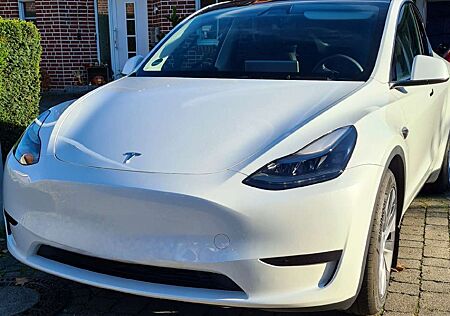 Tesla Model Y RWD