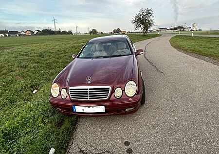 Mercedes-Benz CLK 230 CLK Coupe 230 Kompressor Elegance