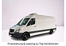 Mercedes-Benz Sprinter 316 Maxi TIEFKÜHL -32° ThermoKing 0574