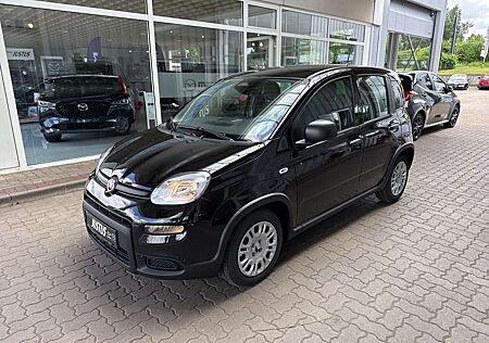 Fiat Panda 1.0 Hybrid 70PS Pandina