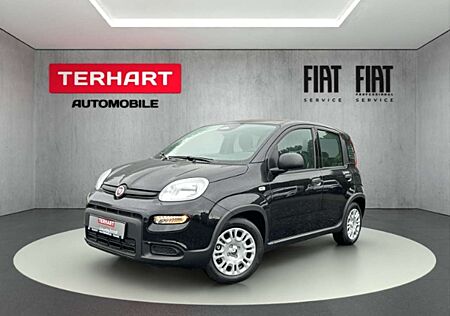 Fiat Panda /Pandina 1.0 Mild Hybrid/PDC/Start&Stopp