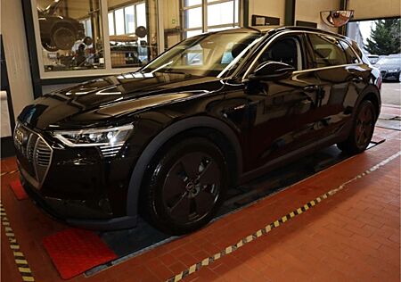 Audi e-tron basis 50 quattro MMI+connect+Navigation&Infotainme