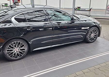 Jaguar XE P250 Aut. R-Dynamic SE