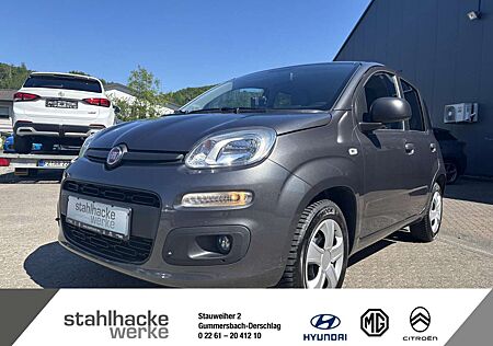 Fiat Panda 1.2 More 2017-->