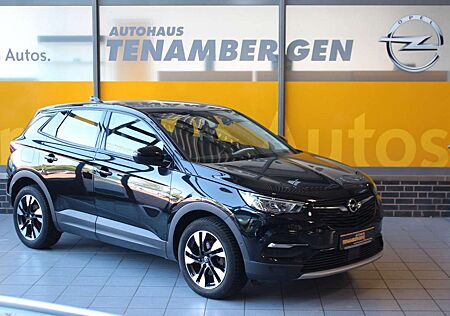 Opel Grandland X Elegance Kamera Sitz- & Lenkradhzg