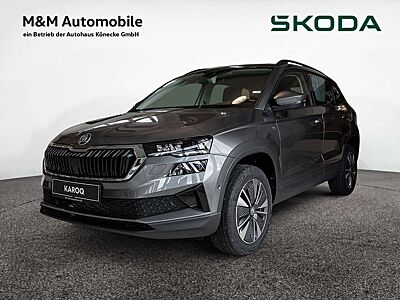 Skoda Karoq 2.0 TDI Tour AHK 360 KAM MATRIX SHZ PDC