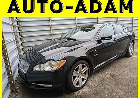 Jaguar XF 3.0 V6 Diesel Edition*2 Hand*Tüv:11/2025*