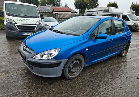 Peugeot 307 Grand Filou Cool 110,AHK
