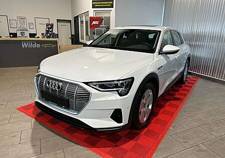 Audi e-tron 50 quattro Pano Leder Matrix LED 360'