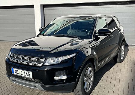 Land Rover Range Rover Evoque SD4 Aut Pure - 1.HD, top gepflegt, nur 49.800 km