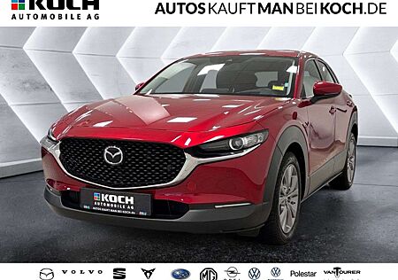 Mazda CX-30 SKY-G 2.0 122PS MHybrid 6AG AL-SEL NAV SHZ